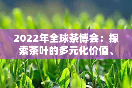 2022年全球茶博会：探索茶叶的多元化价值、创新品种与科技应用