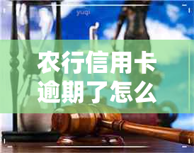 农行信用卡逾期了怎么能知道