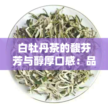 白牡丹茶的馥芬芳与醇厚口感：品鉴与鉴