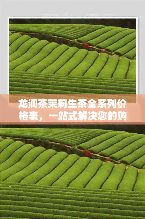 龙润茶茉莉生茶全系列价格表，一站式解决您的购买疑虑和比较需求