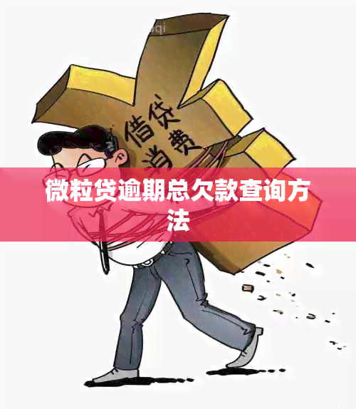 微粒贷逾期总欠款查询方法