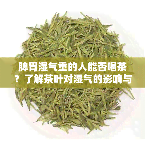 脾胃湿气重的人能否喝茶？了解茶叶对湿气的影响与调节方法