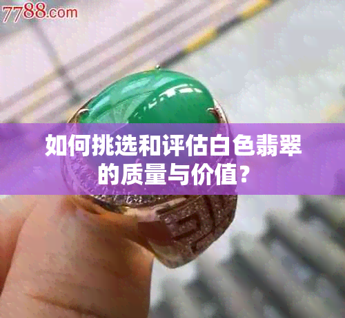 如何挑选和评估白色翡翠的质量与价值？