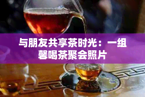 与朋友共享茶时光：一组馨喝茶聚会照片