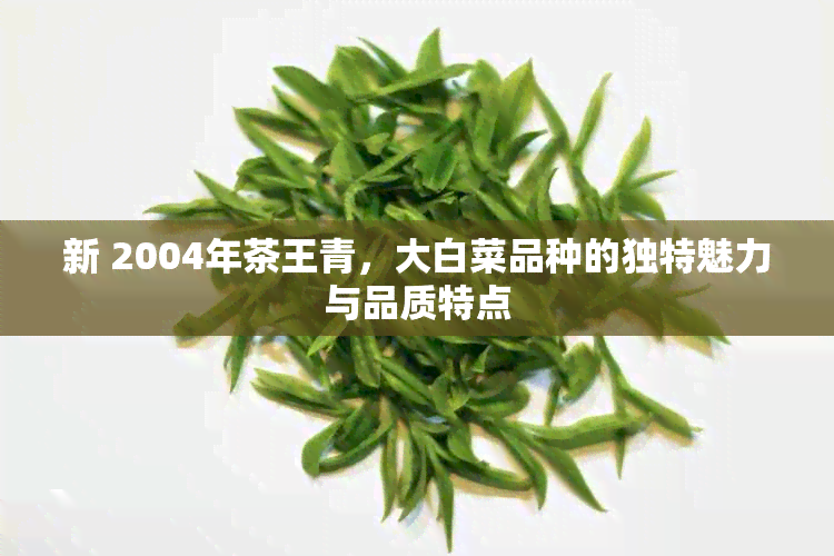 新 2004年茶王青，大白菜品种的独特魅力与品质特点