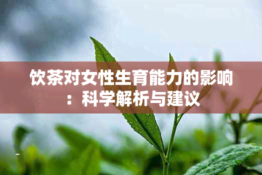 饮茶对女性生育能力的影响：科学解析与建议