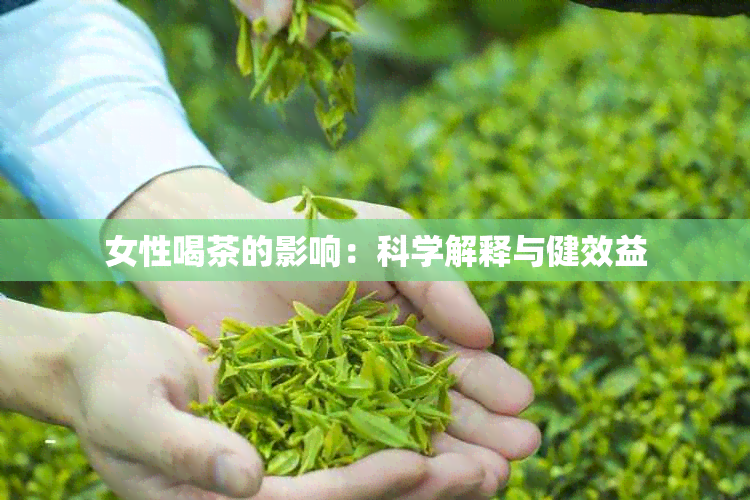 女性喝茶的影响：科学解释与健效益