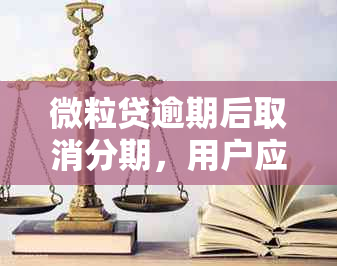 微粒贷逾期后取消分期，用户应如何处理？全面解决方案助您应对逾期问题