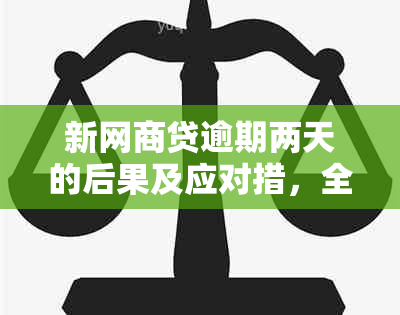 新网商贷逾期两天的后果及应对措，全面解析您的贷款问题