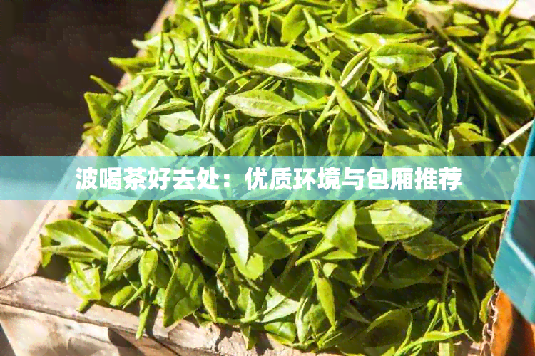 波喝茶好去处：优质环境与包厢推荐