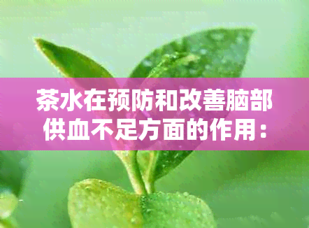 茶水在预防和改善脑部供血不足方面的作用：科学研究与建议