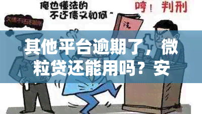 其他平台逾期了，微粒贷还能用吗？安全吗？如何处理？会影响微粒贷吗？