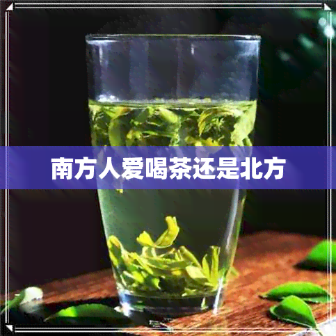 南方人爱喝茶还是北方