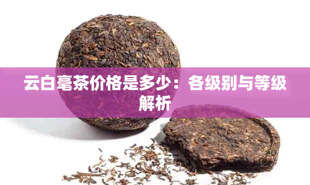 云白毫茶价格是多少：各级别与等级解析