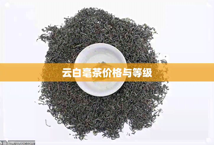 云白毫茶价格与等级