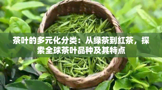 茶叶的多元化分类：从绿茶到红茶，探索全球茶叶品种及其特点