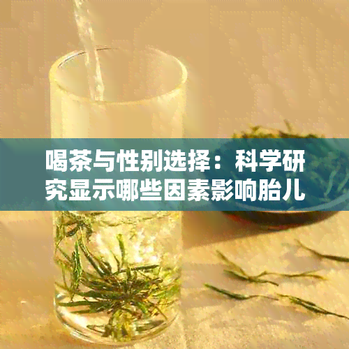 喝茶与性别选择：科学研究显示哪些因素影响胎儿性别？