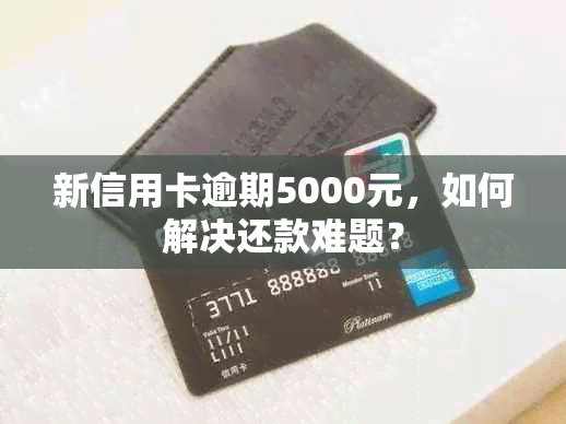 新信用卡逾期5000元，如何解决还款难题？