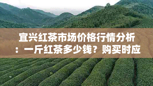 宜兴红茶市场价格行情分析：一斤红茶多少钱？购买时应注意哪些因素？