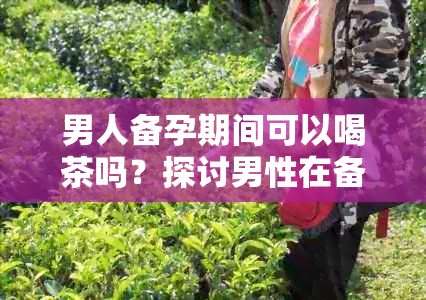 男人备孕期间可以喝茶吗？探讨男性在备孕期间的饮茶问题