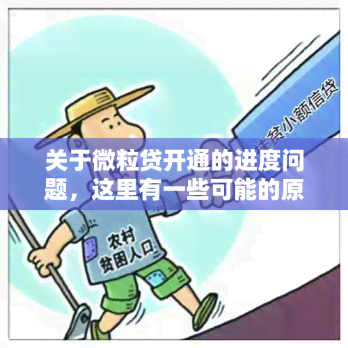 关于微粒贷开通的进度问题，这里有一些可能的原因和解决方案