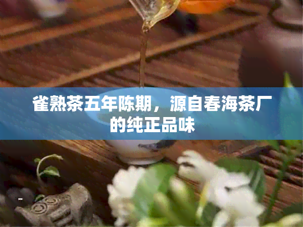 雀熟茶五年陈期，源自春海茶厂的纯正品味