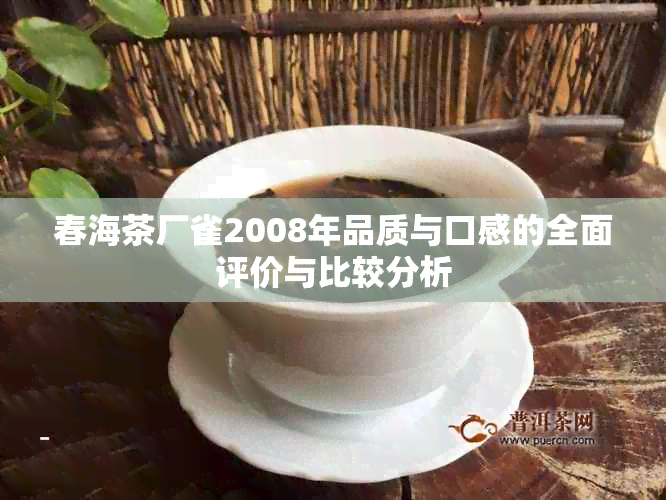 春海茶厂雀2008年品质与口感的全面评价与比较分析