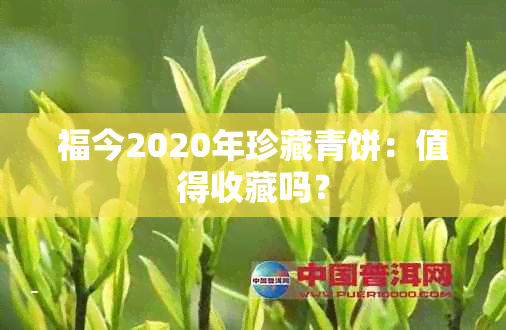 福今2020年珍藏青饼：值得收藏吗？