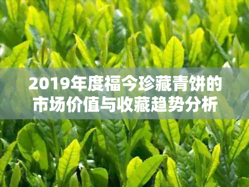 2019年度福今珍藏青饼的市场价值与收藏趋势分析