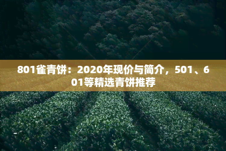 801雀青饼：2020年现价与简介，501、601等精选青饼推荐