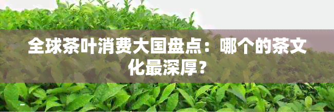 全球茶叶消费大国盘点：哪个的茶文化最深厚？