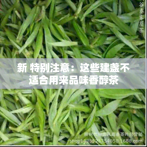 新 特别注意：这些建盏不适合用来品味香醇茶