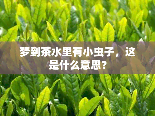 梦到茶水里有小虫子，这是什么意思？