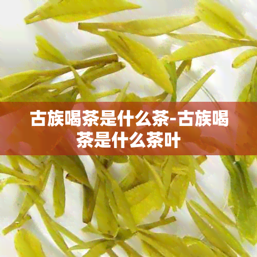 古族喝茶是什么茶-古族喝茶是什么茶叶