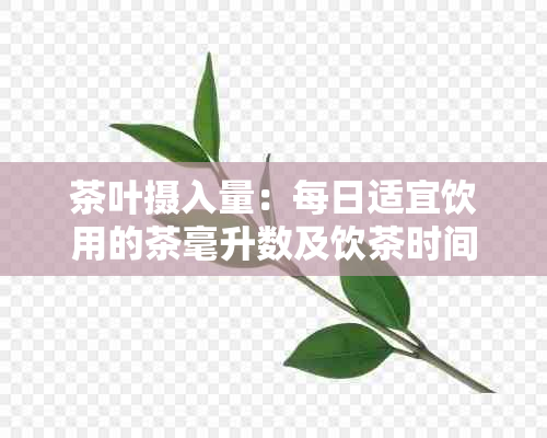 茶叶摄入量：每日适宜饮用的茶毫升数及饮茶时间解析