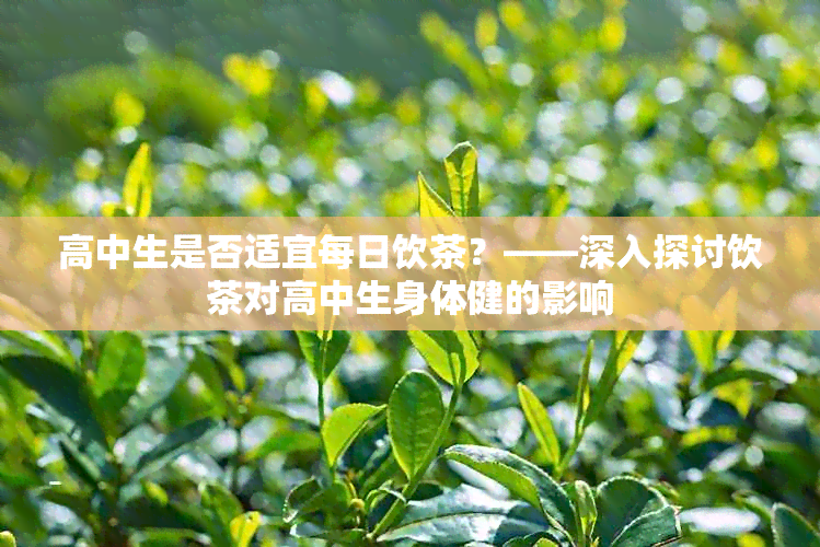 高中生是否适宜每日饮茶？——深入探讨饮茶对高中生身体健的影响