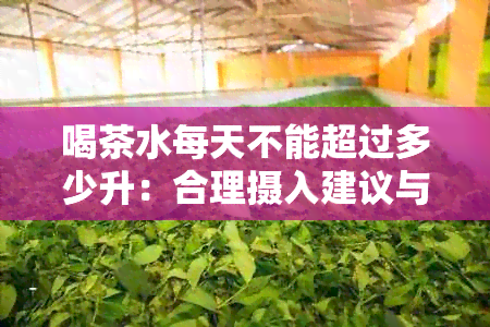 喝茶水每天不能超过多少升：合理摄入建议与注意事项