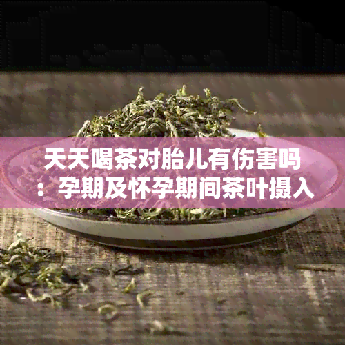 天天喝茶对胎儿有伤害吗：孕期及怀孕期间茶叶摄入的影响