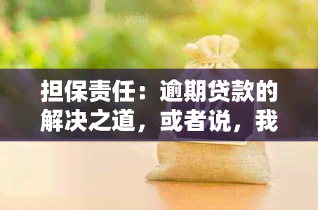 担保责任：逾期贷款的解决之道，或者说，我可以为别人做担保吗？