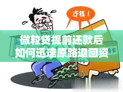 微粒贷提前还款后如何迅速原路退回资金？详细了解步骤与注意事项！