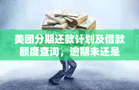 美团分期还款计划及借款额度查询，逾期未还是否影响继续借款？