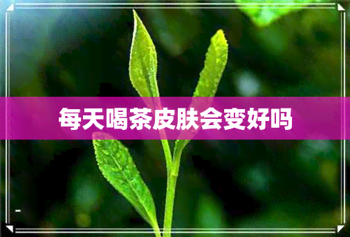 每天喝茶皮肤会变好吗