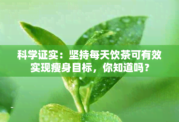 科学证实：坚持每天饮茶可有效实现瘦身目标，你知道吗？