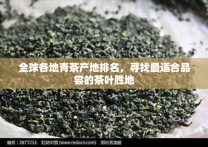 全球各地青茶产地排名，寻找最适合品尝的茶叶胜地