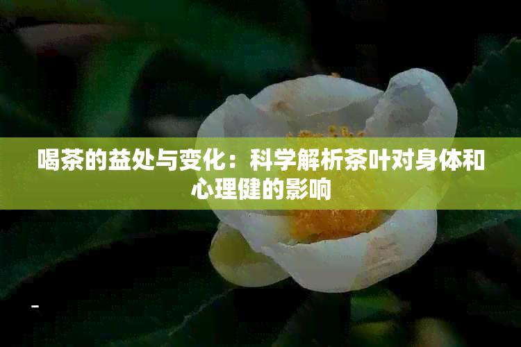 喝茶的益处与变化：科学解析茶叶对身体和心理健的影响