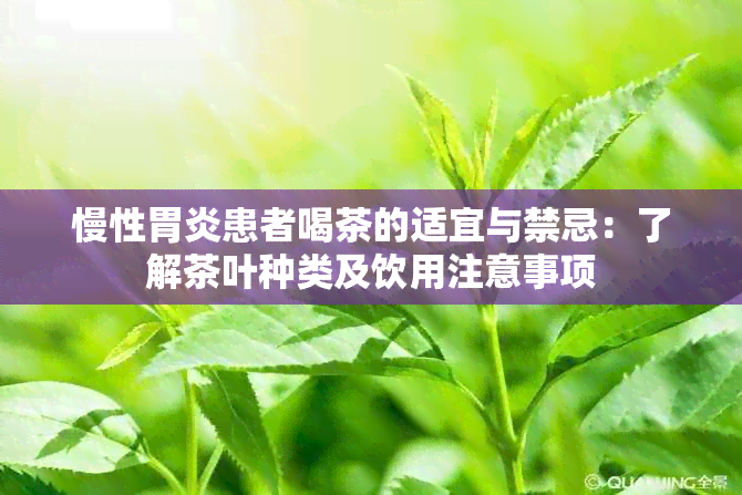 慢性胃炎患者喝茶的适宜与禁忌：了解茶叶种类及饮用注意事项