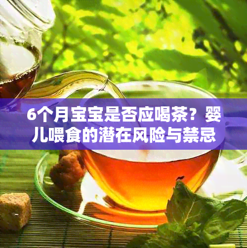 6个月宝宝是否应喝茶？婴儿喂食的潜在风险与禁忌