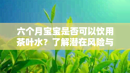 六个月宝宝是否可以饮用茶叶水？了解潜在风险与适宜年龄