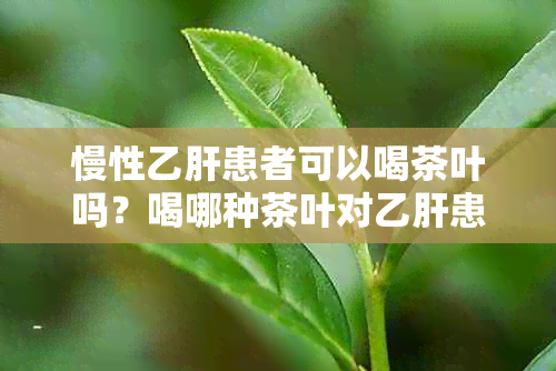 慢性乙肝患者可以喝茶叶吗？喝哪种茶叶对乙肝患者更有益？