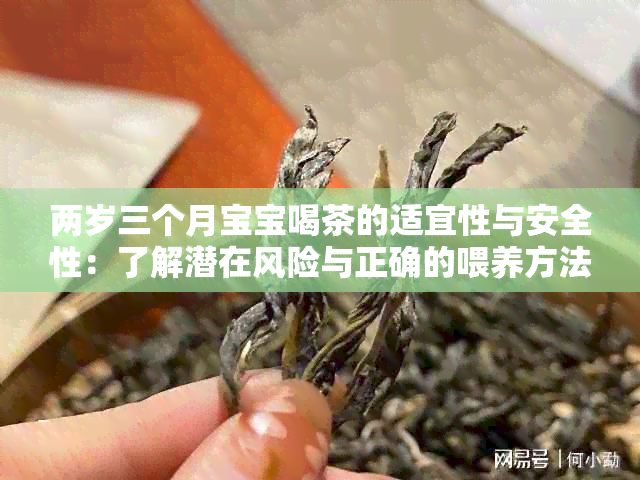 两岁三个月宝宝喝茶的适宜性与安全性：了解潜在风险与正确的喂养方法